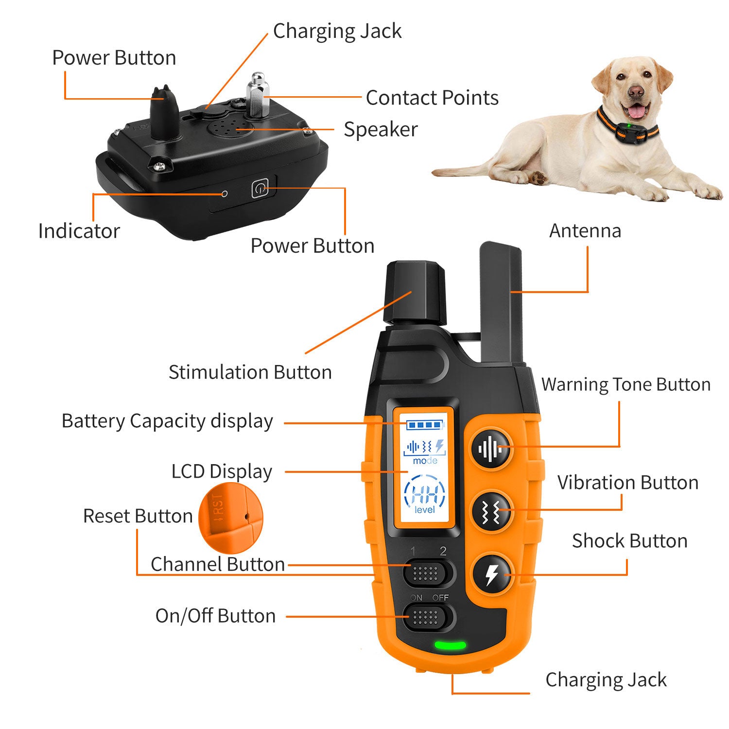 3300Ft Elektronisches Hundetrainingshalsband