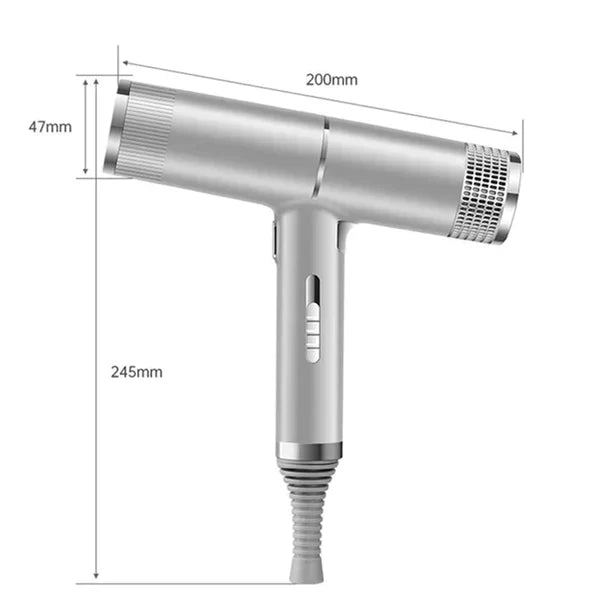 Sèche-cheveux ionique professionnel
