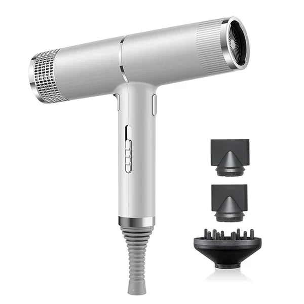 Sèche-cheveux ionique professionnel